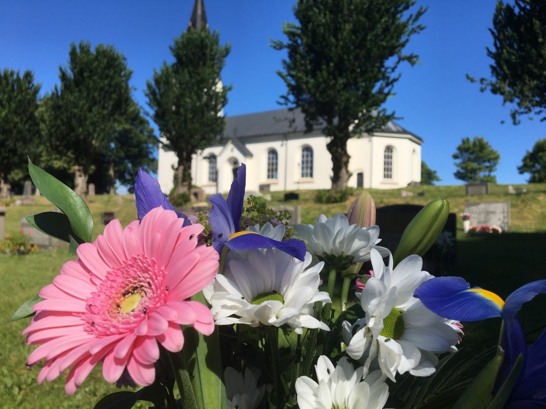 892DBB28-F670-4525-A8E2-215FAAB12AA0