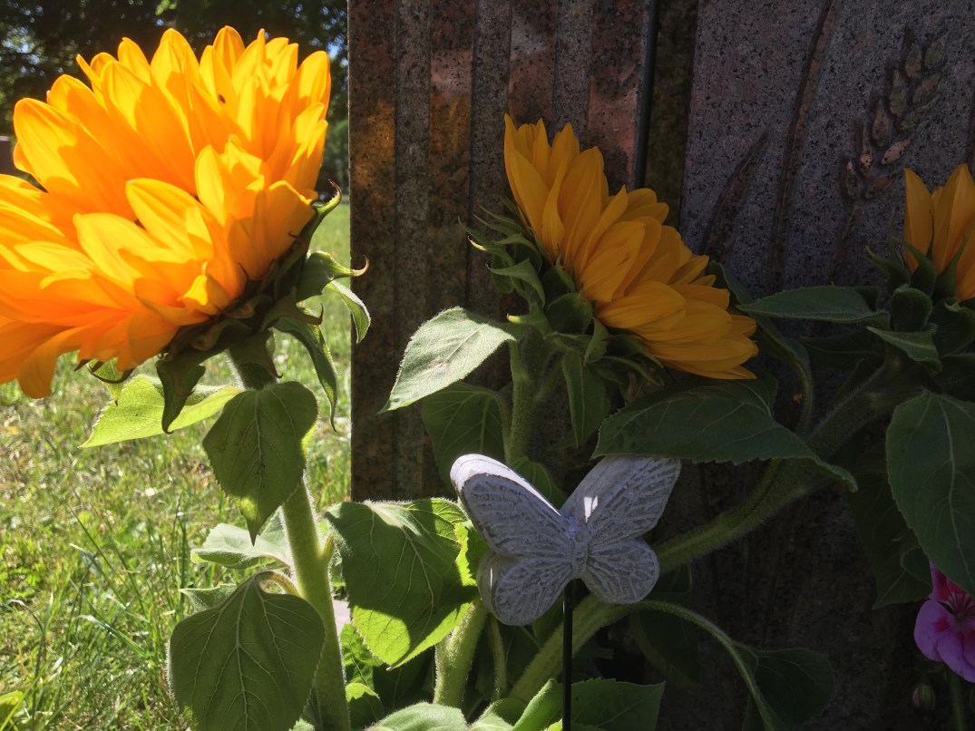 DA761D24-2720-45C2-BA93-8092B5F6D960